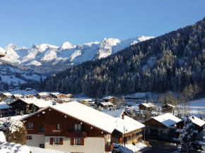 Studio confortable 4 pers. au Grand-Bornand avec balcon et garage - FR-1-458-191